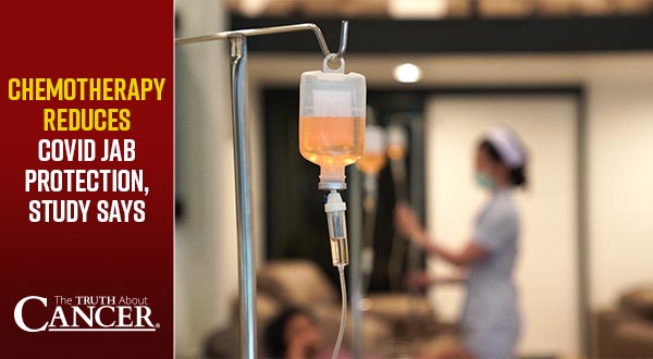 Chemotherapy Reduces COVID Jab Protection, Study Says