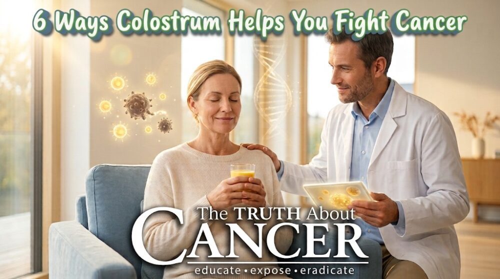 6 Ways Colostrum Helps You Fight Cancer 6 Ways Colostrum Helps You Fight Cancer