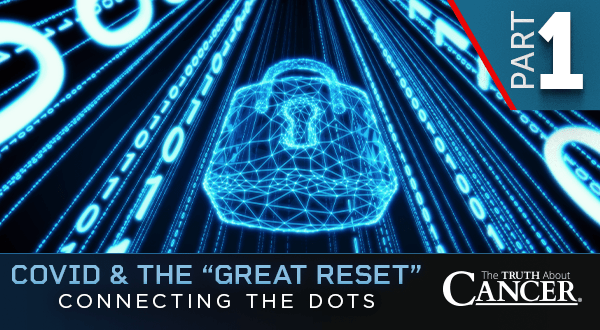 COVID & the Great Reset - Connecting the Dots (PART 1)