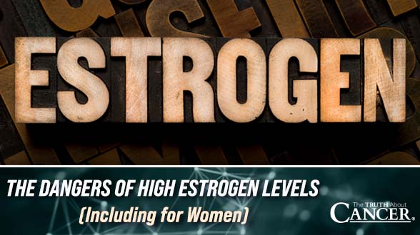 The Dangers of High Estrogen Levels (Even for Women)