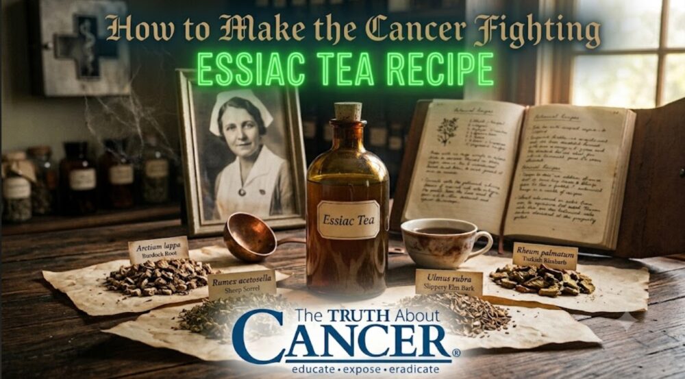How to Make the Cancer Fighting Essiac Tea Recipe How to Make the Cancer Fighting Essiac Tea Recipe