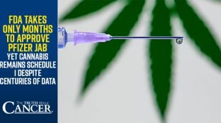 FDA Takes Only Months to Approve Pfizer Jab Yet Cannabis Remains Schedule 1 Despite Centuries of Data