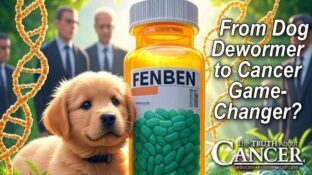 FENBEN: 🐶 From Dog Dewormer to Cancer Game-Changer? 💊 FENBEN: 🐶 From Dog Dewormer to Cancer Game-Changer? 💊
