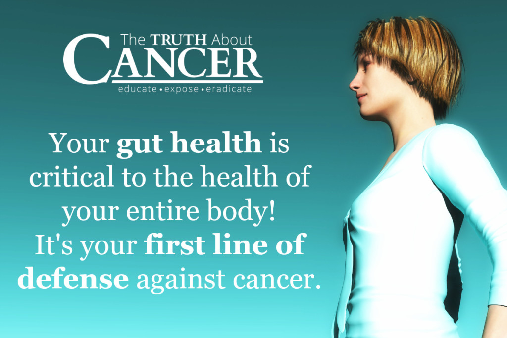 Is Your Gut Helping You Prevent Breast Cancer?Is Your Gut Helping You Prevent Breast Cancer?