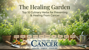 The Healing Garden: Top 10 Culinary Herbs for Preventing & Healing From Cancer The Healing Garden: Top 10 Culinary Herbs for Preventing & Healing From Cancer