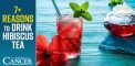 7+ Reasons to Drink Hibiscus Tea