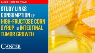 Study links consumption of high-fructose corn syrup to intestinal tumor growth