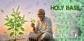 How Holy Basil Helps Your Body Adapt to Stress &...