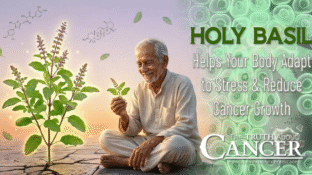 How Holy Basil Helps Your Body Adapt to Stress & Reduce Cancer Growth