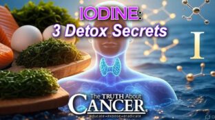 The Iodine-Thyroid Connection: 3 Detox Secrets