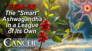 Tired of Being Tired? Why This "Smart" Ashwagandha is in a League of Its Own