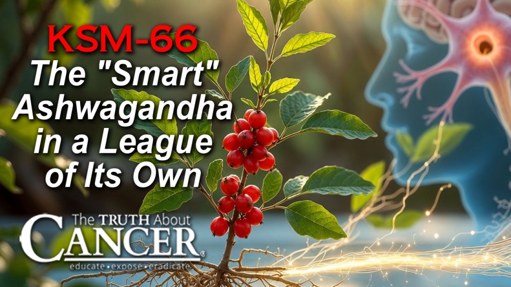 Tired of Being Tired? Why This "Smart" Ashwagandha is in a League of Its Own