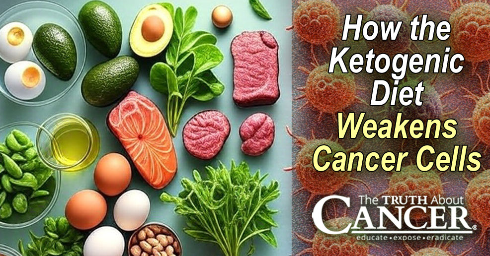 How the Ketogenic Diet Weakens Cancer Cells