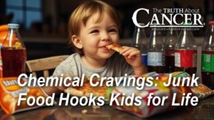 Kids Exposed to Chemicals in Ultraprocessed Foods May Develop Lifelong Cravings for Junk Food