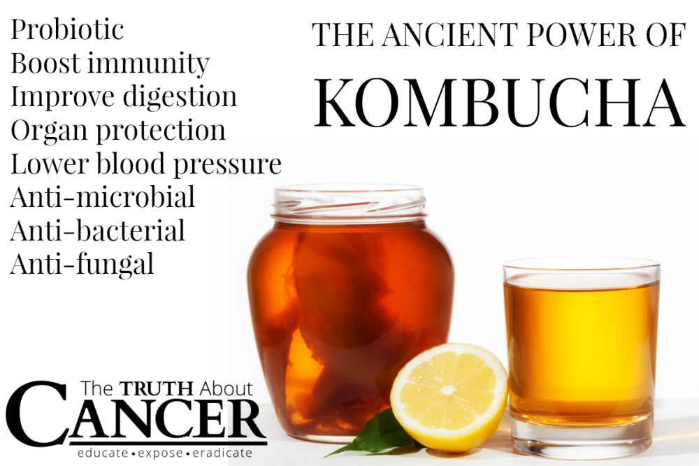 Health Benefits Kombucha Tea