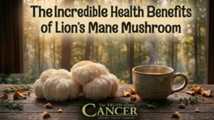 The Incredible Health Benefits of Lion’s Mane Mushroom