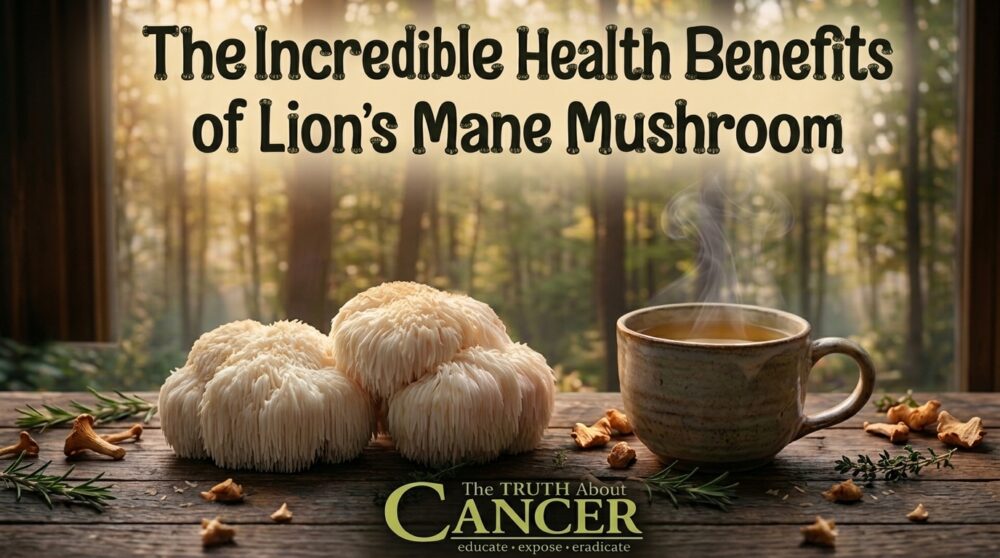 The Incredible Health Benefits of Lion’s Mane Mushroom The Incredible Health Benefits of Lion’s Mane Mushroom