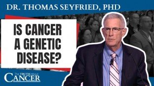 Is Cancer a Genetic Disease? The True Origin of Cancer (video)