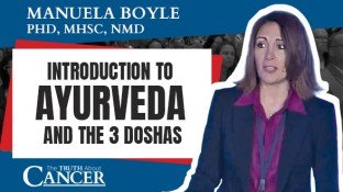 Introduction to Ayurveda and the 3 Doshas (video)