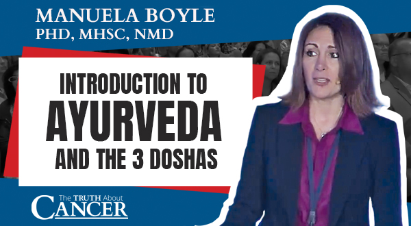 Introduction to Ayurveda and the 3 Doshas (video)