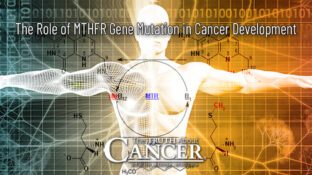 The Role of MTHFR Gene Mutation in Cancer Development The Role of MTHFR Gene Mutation in Cancer Development
