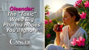 Oleander: The "Toxic" Weed Big Pharma Hopes You'll Ignore