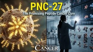PNC-27: The Promising Peptide Cancer Cure