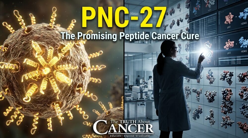 PNC-27: The Promising Peptide Cancer Cure PNC-27: The Promising Peptide Cancer Cure