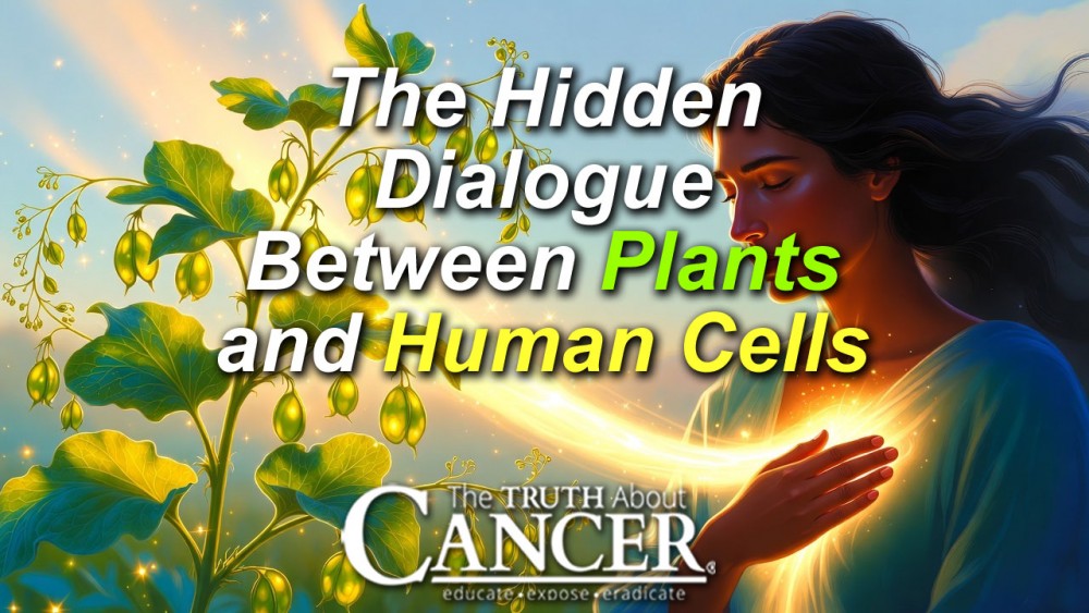 The Hidden Dialogue Between Plants and Human Cells: How Edible Botanicals Communicate to Promote Healing