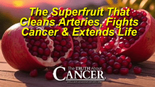 The Superfruit That Cleans Arteries, Fights Cancer & Extends Life