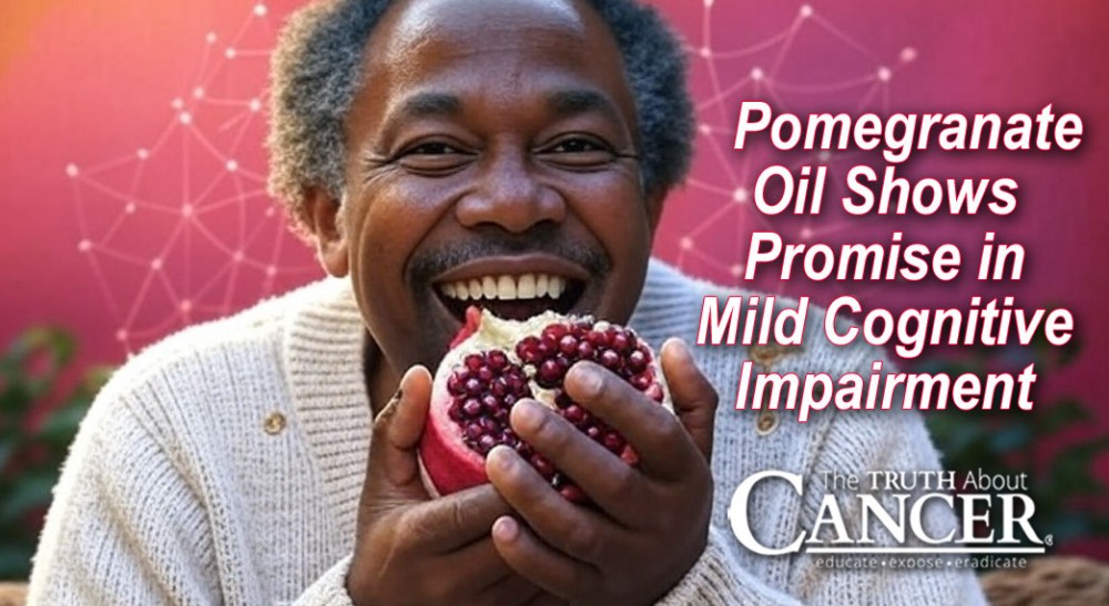Seeds of Hope: Pomegranate Oil Shows Promise in Mild Cognitive Impairment
