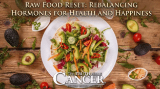 Raw Food Reset: Rebalancing Hormones for Health and Happiness Raw Food Reset: Rebalancing Hormones for Health and Happiness