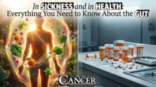 In Sickness and in Health: Everything You Need to Know About the Gut