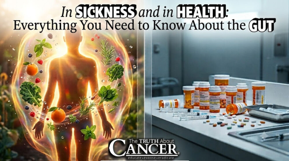In Sickness and in Health: Everything You Need to Know About the Gut In Sickness and in Health: Everything You Need to Know About the Gut