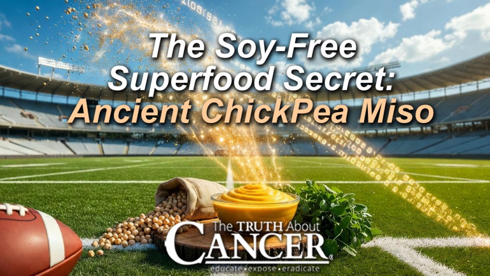 The Soy-Free Superfood Secret: Ancient Chick Pea Miso 🌱 (Video Interview) 🎥