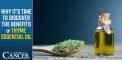 Why It’s Time to Discover the Benefits of Thyme...