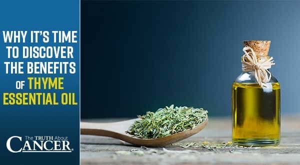 Why It's Time to Discover the Benefits of Thyme Essential Oil