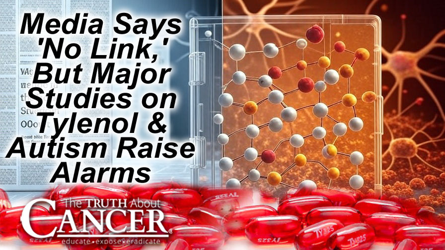 Media Claims 'No Science' Linking Tylenol to Autism — But Studies by Major Medical Institutions Raise Red Flags
