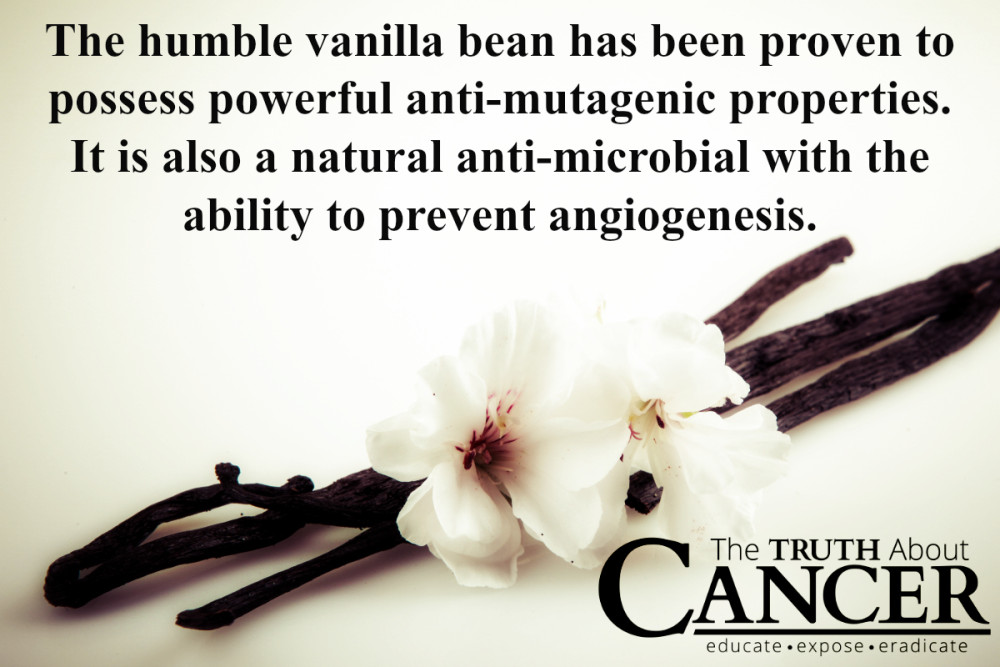 Vanilla-Bean-Anti-mutagenic-anti-microbial