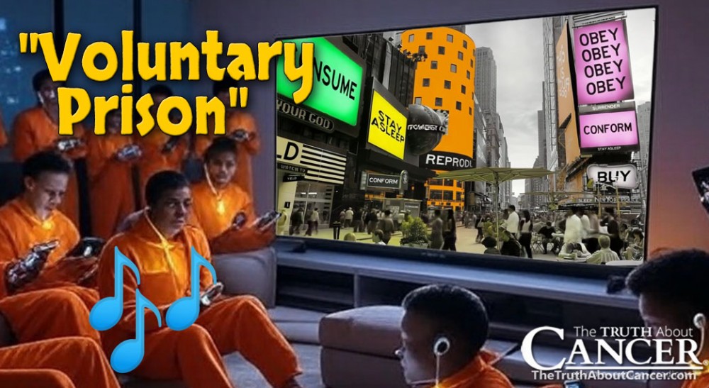 🎵 MUSIC VIDEO – “Voluntary Prison” 🔒 (Performed by 'Clan of the Storm')