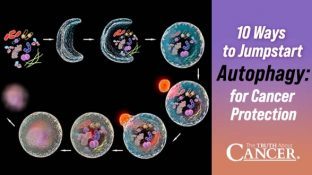 10 Ways to Jumpstart Autophagy for Cancer Protection