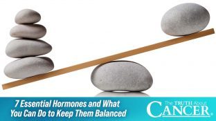 7 Essential Hormones and What You Can Do to Keep Them Balanced