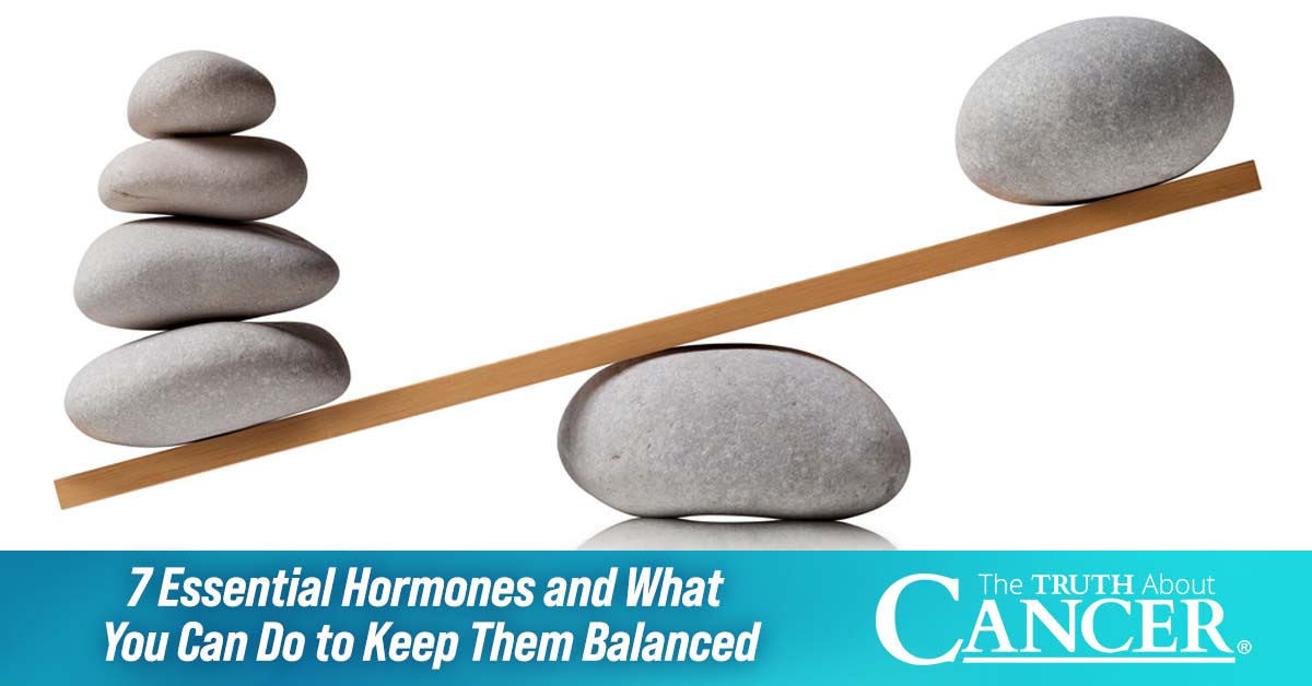 7 Essential Hormones and What You Can Do to Keep Them Balanced