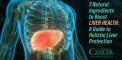 7 Natural Ingredients to Boost Liver Health: A Guide to...