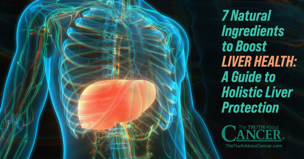 7 Natural Ingredients to Boost Liver Health: A Guide to Holistic Liver Protection