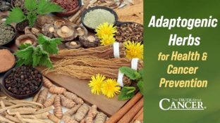 Adaptogenic Herbs for Health & Cancer Prevention