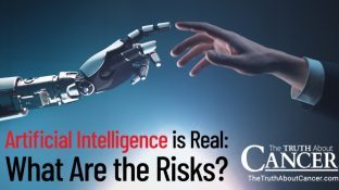 Artificial Intelligence is Real: What Are the Risks?