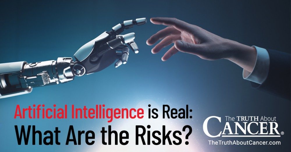 Artificial Intelligence is Real: What Are the Risks?