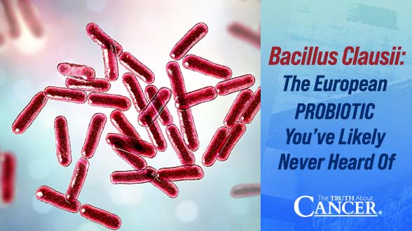 Bacillus Clausii: The European Probiotic You've Likely Never Heard Of