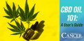 CBD Oil 101: A User’s Guide
